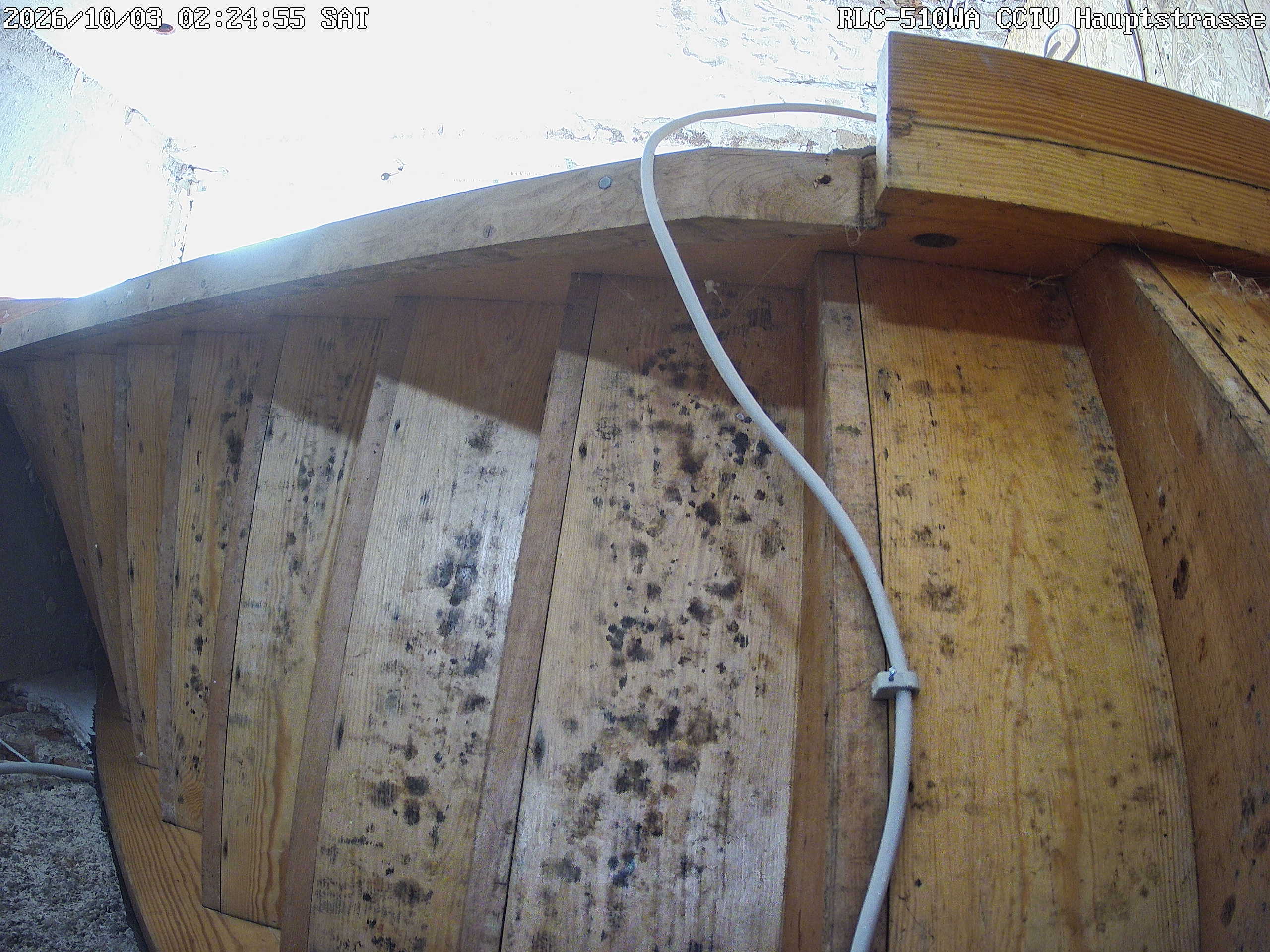 RLC-510WA CCTV Hauptstrasse_00_20261003022456.jpg
